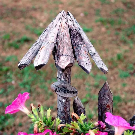 Agriturismo La Palombara *